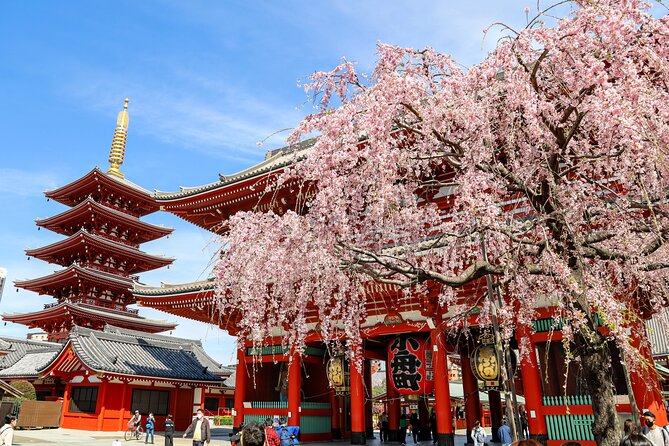 1-Day Tokyo Bus Tour - Key Highlights Worth Booking For