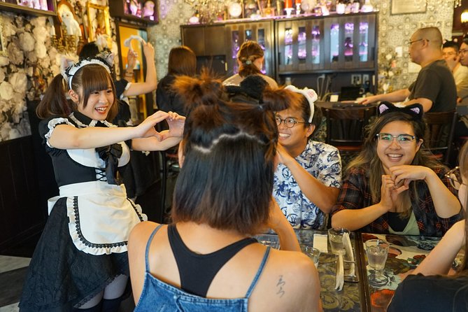 Akihabara Anime & Game Adventure Walking Tour (Group or Private) - A 3-Hour Akihabara Walk That Gets You Oriented Fast