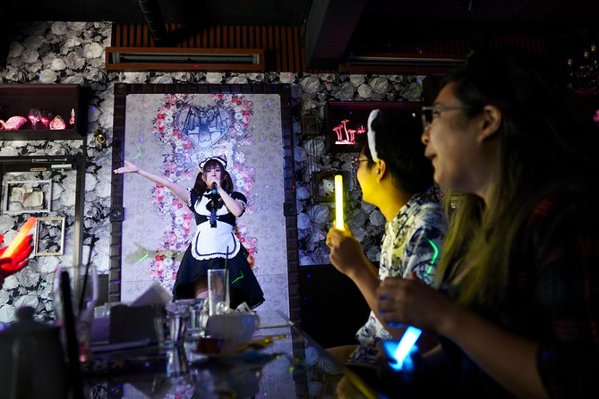 Akihabara Anime & Game Adventure Walking Tour (Group or Private) - Meeting Outside Electric Town Gate: Where to Show Up and How to Prepare