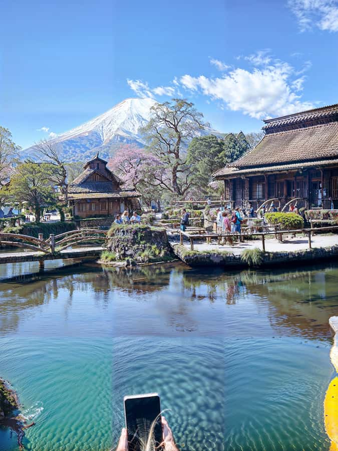 From Tokyo: Mount Fuji and Hakone Private Day Trip - Two reasons this works so well in real life