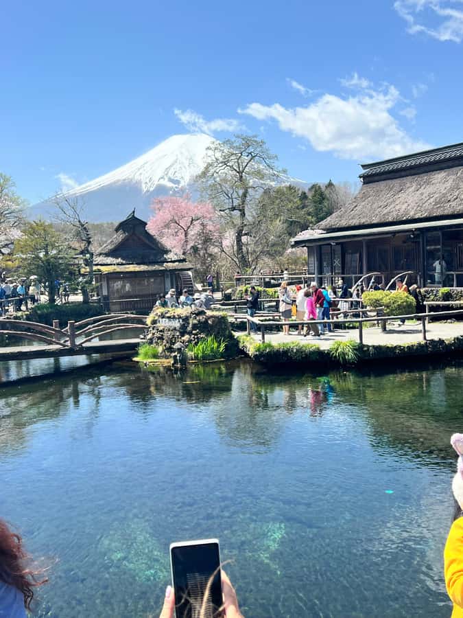 From Tokyo: Mount Fuji and Hakone Private Day Trip - What to bring so the day feels easy