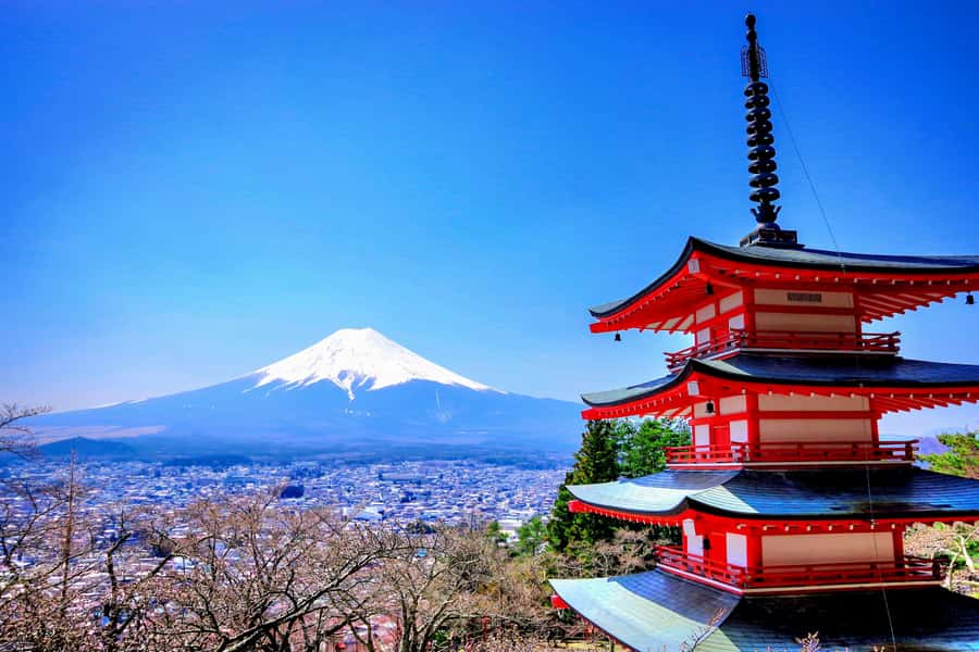 From Tokyo: Mount Fuji and Hakone Private Day Trip - The one thing to plan for