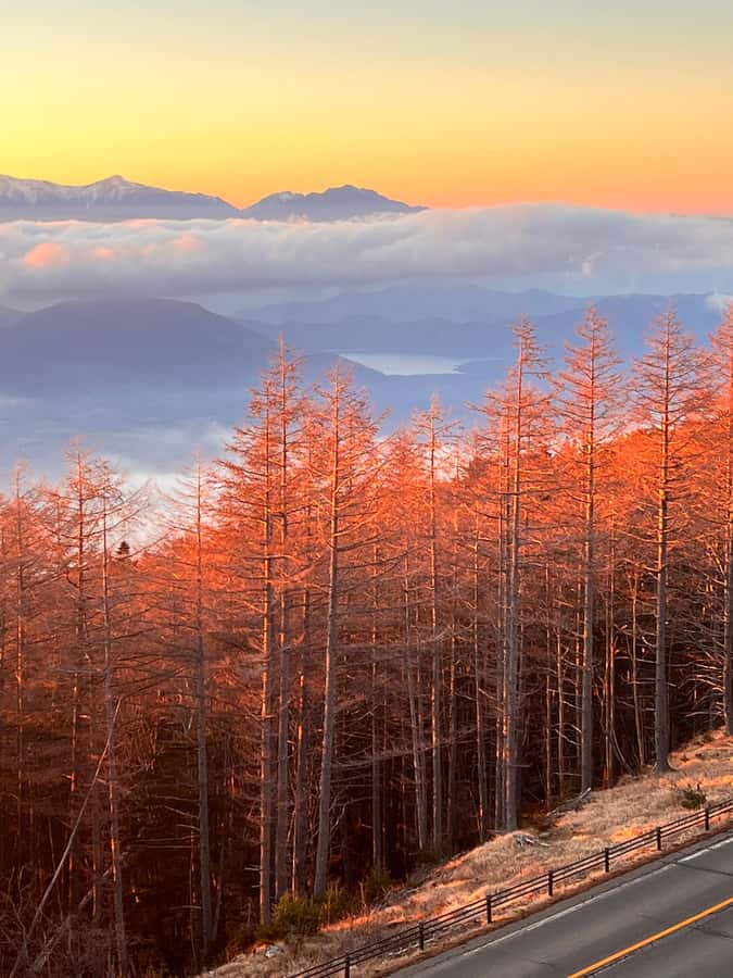 From Tokyo: Mount Fuji and Hakone Private Day Trip - A smooth private day between Tokyo, Fuji, and Hakone