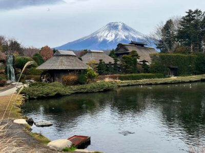 From Tokyo: Mount Fuji and Hakone Private Day Trip - Quick highlights you can actually use