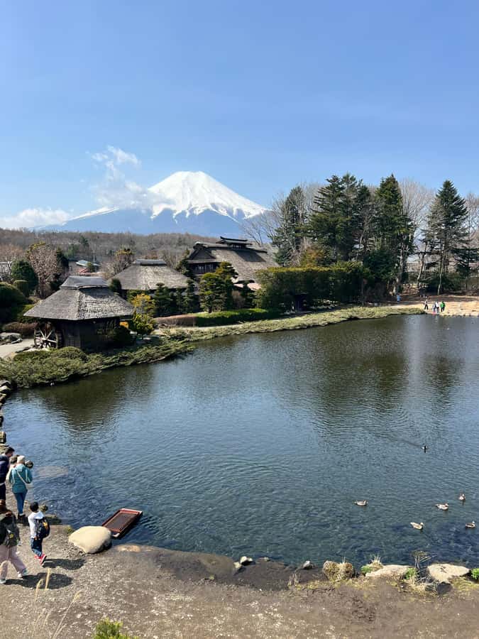 From Tokyo: Mount Fuji and Hakone Private Day Trip - The Fuji stops that make the biggest difference