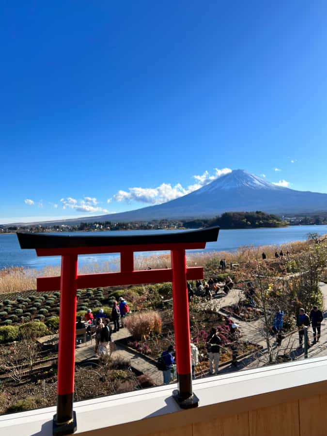 From Tokyo: Mount Fuji and Hakone Private Day Trip - Price and logistics: what you pay for, and what costs extra