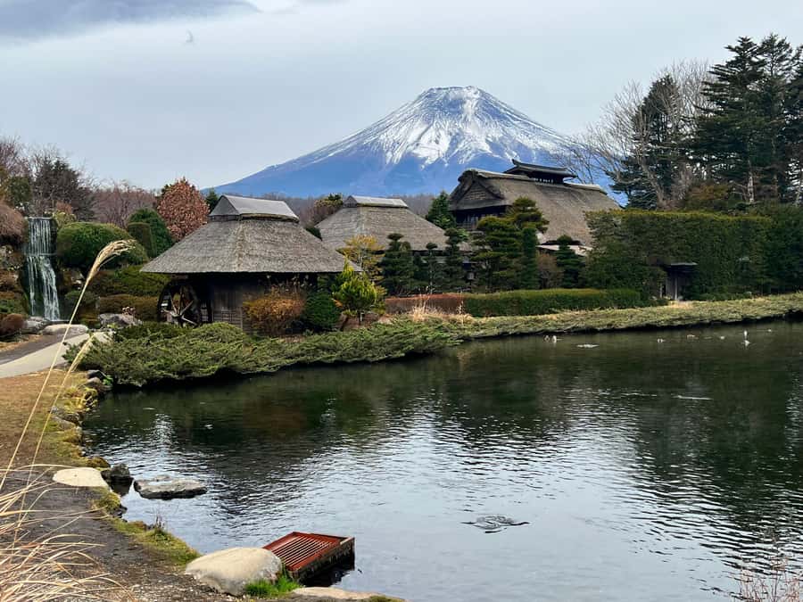 From Tokyo: Mount Fuji and Hakone Private Day Trip - Quick highlights you can actually use