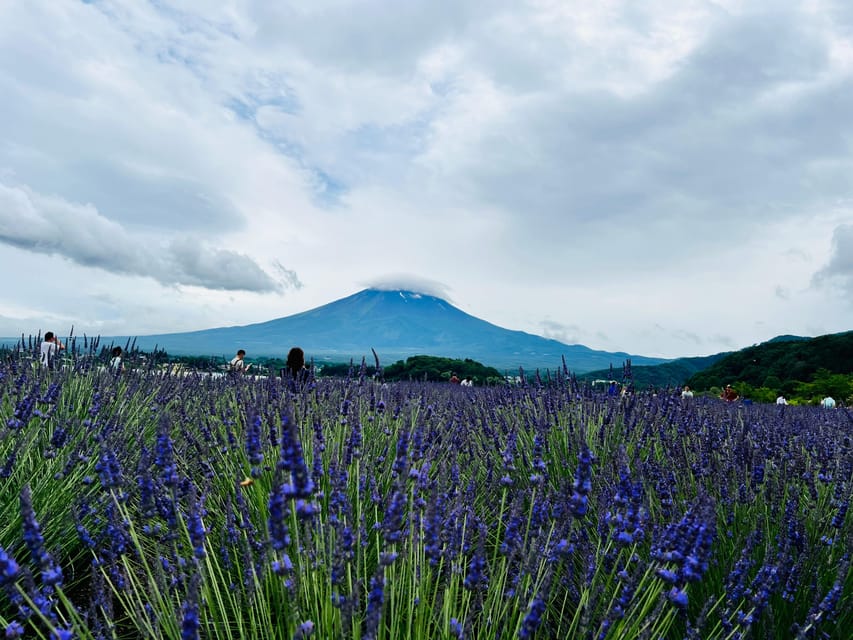 From Tokyo: Mount Fuji Full-Day Customizable Private Tour - Key points worth knowing before you go