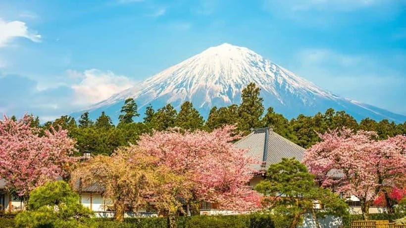 From Tokyo: Mount Fuji Full-Day Customizable Private Tour - How a private Fuji or Hakone day works from central Tokyo