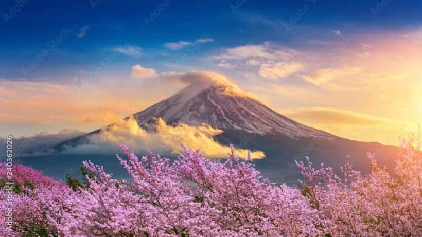 From Tokyo: Mount Fuji Full-Day Customizable Private Tour - Itinerary B: Hakone’s ropeway-and-cruise views, then Open-Air Museum art in nature