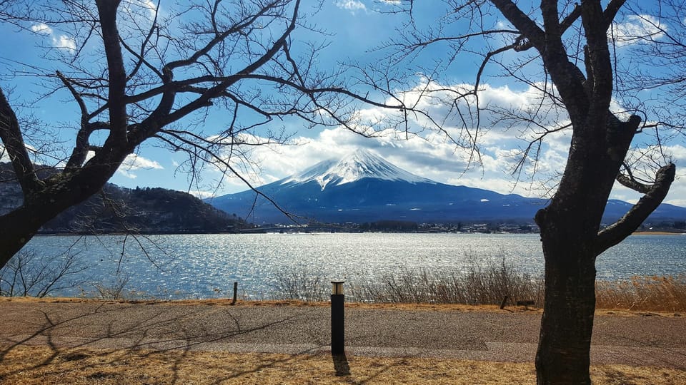 From Tokyo: Mount Fuji Full-Day Customizable Private Tour - Price and logistics: what $483 per group up to 5 is really buying