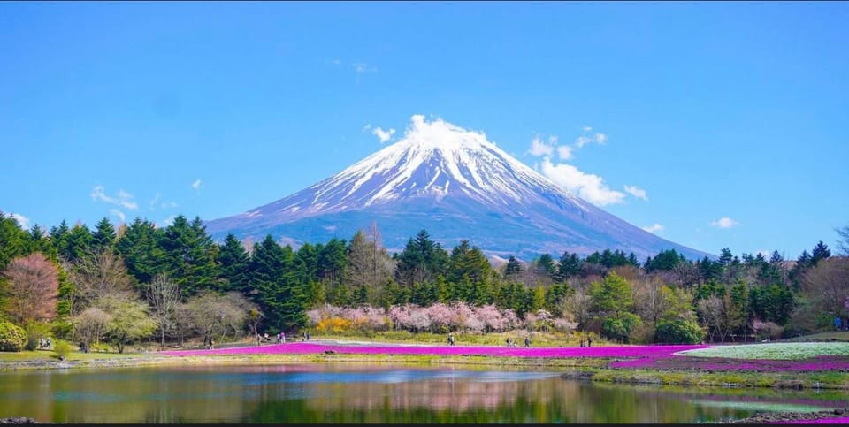 From Tokyo: Mount Fuji Full-Day Customizable Private Tour - Who should book this private Mount Fuji day, and who should skip it