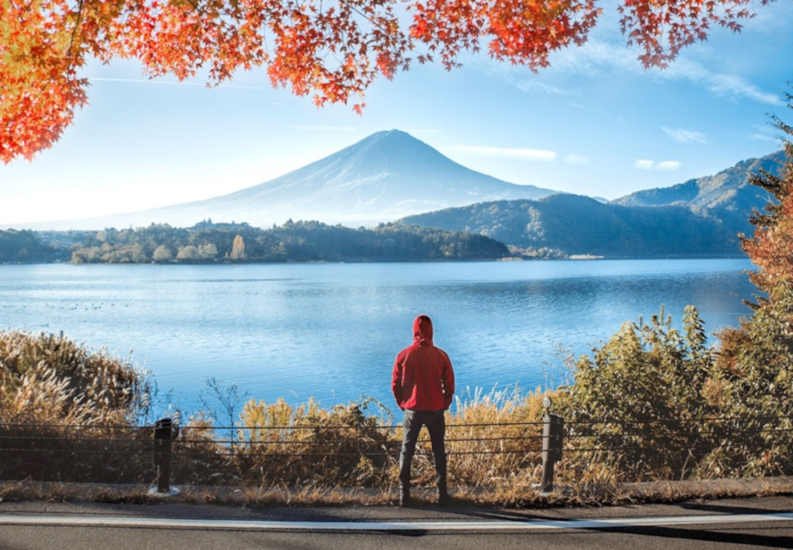 From Tokyo: Mount Fuji Full-Day Customizable Private Tour - Should you book it? A simple decision guide