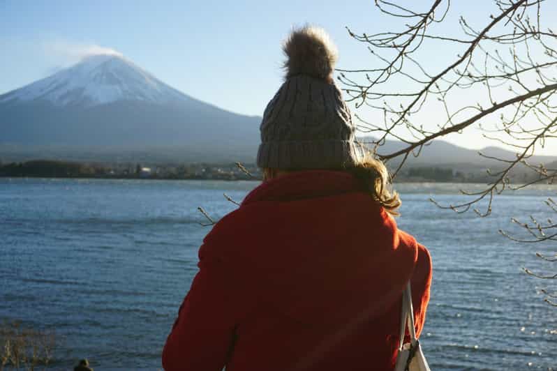 From Tokyo: Mount Fuji Full Day Customizable Private Tour - Your flexible route: Fuji first, then Hakone