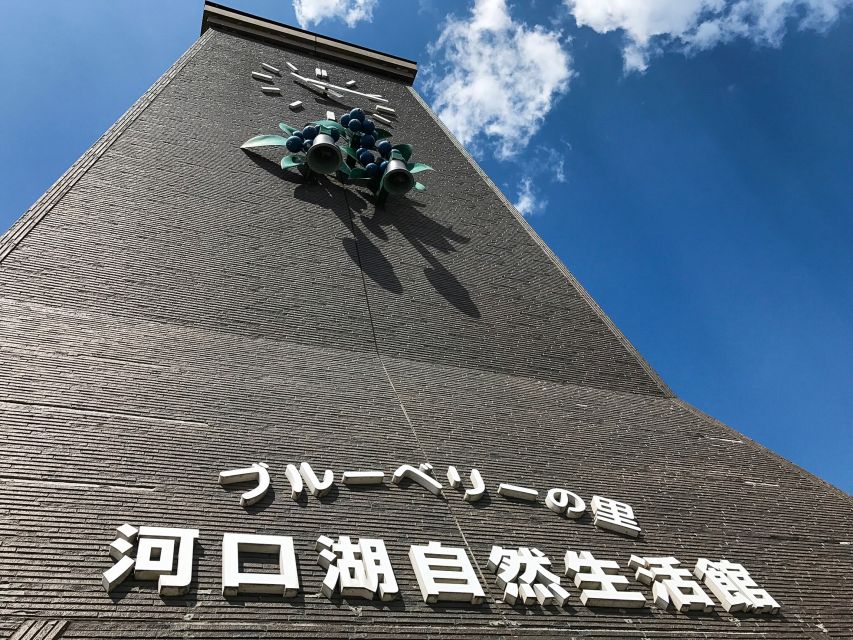 From Tokyo: Mount Fuji Full-Day Sightseeing Trip - Making the Tour Work for You: Timing, Crowds, and What to Prioritize