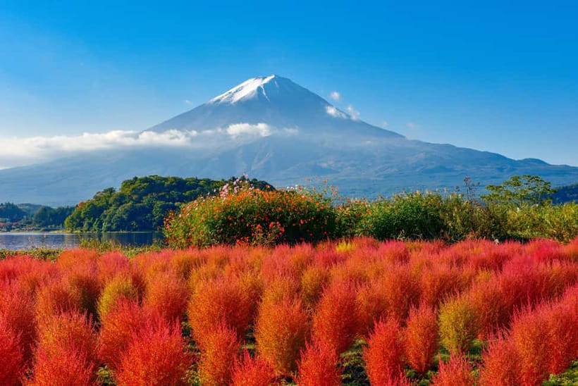 From Tokyo: Mount Fuji Full-Day Sightseeing Trip - Kawaguchiko Oishi Park: Where Fuji Fits Neatly Into a Lake Photograph