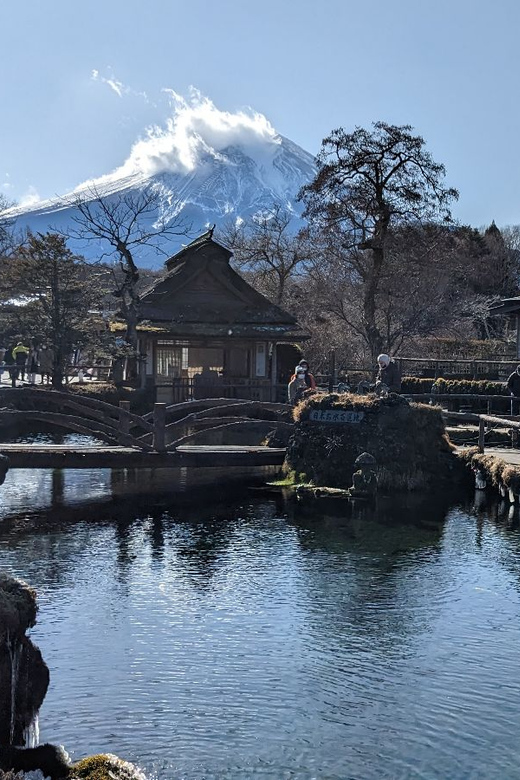 From Tokyo: Mt. Fuji & Hakone Tour w/ Return by Bullet Train - Key Takeaways Before You Go