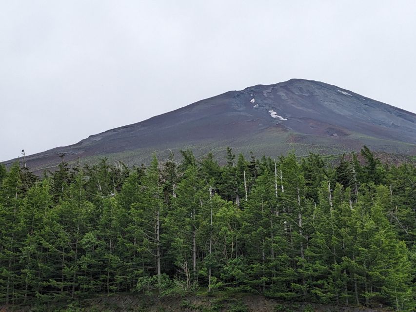 From Tokyo: Mt. Fuji & Hakone Tour w/ Return by Bullet Train - Tips That Make the Day Feel Smoother