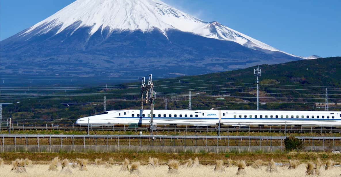 From Tokyo: Mt. Fuji & Hakone Tour w/ Return by Bullet Train - Lunch Break: Japanese Hot Pot Plus a Half Buffet
