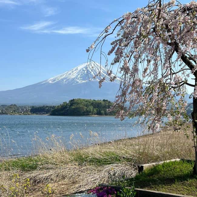 From Tokyo: Mt Fuji Private Day Tour In Luxury Land Cruiser - Door-to-door timing: how to fit a long day without burning out
