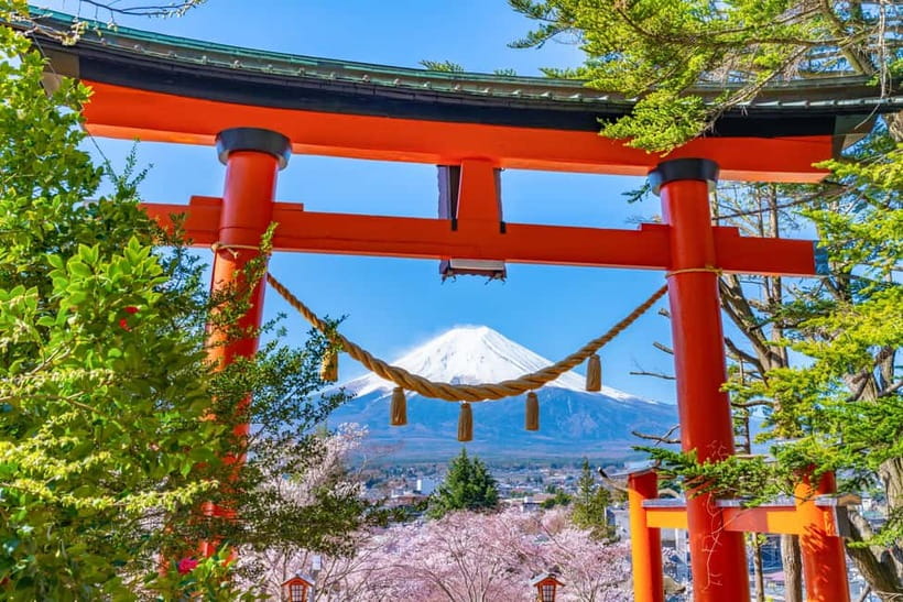 From Tokyo: Must-Visit Mount Fuji Highlight Full-Day Tour - Coach Day Reality Check: Timing, Group Size, and the 10-Hour Vehicle Rule