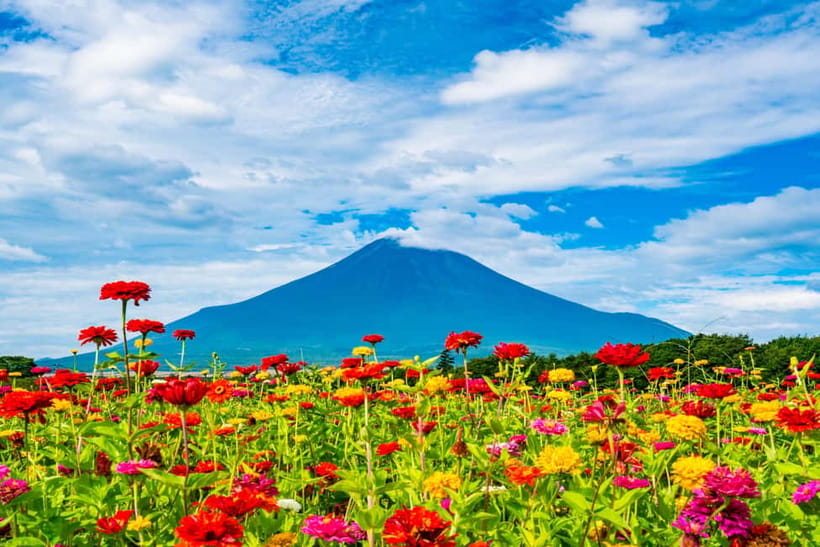 From Tokyo: Must-Visit Mount Fuji Highlight Full-Day Tour - Honcho Street and the Lawson Fujikawaguchiko Photo Moment