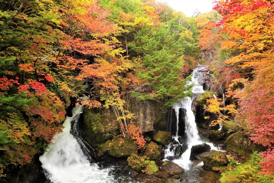 From Tokyo: Nikko World Heritage Site Private Full-Day Trip - Key things that make this Nikko day trip worth your time
