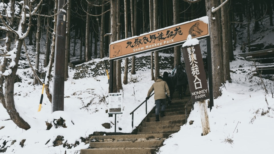 From Tokyo: Private Tour Snow Monkey Park & Zenko-ji Temple - Obuse town walk: a gentler ending with local flavor
