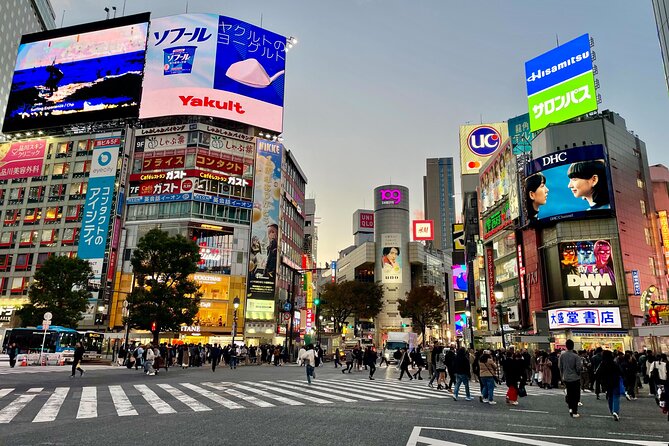 Get Unique Insights into Tokyo - Private Tour with local Guide - Price and time: is $82.90 per person good value?