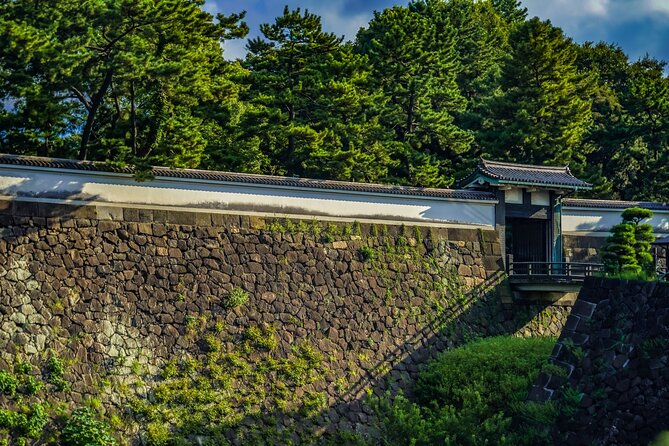 Imperial Palace East Garden and Edo Castle Walking Tour in Tokyo - Rain, season, and what color you might (or might not) get