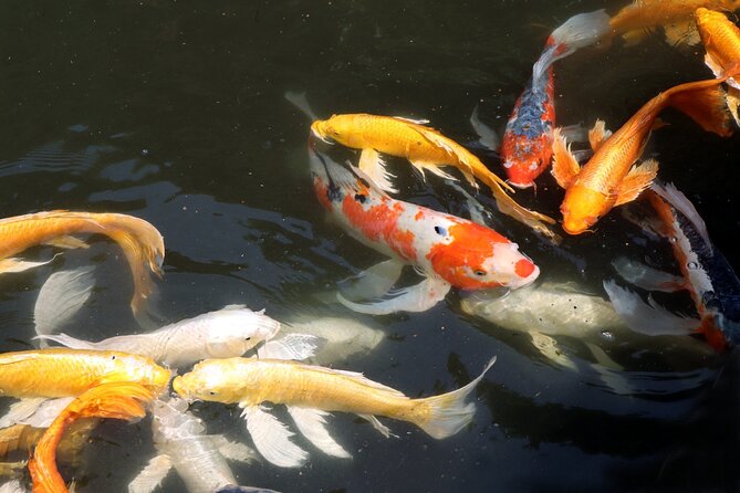 Imperial Palace East Garden and Edo Castle Walking Tour in Tokyo - Price and value: why $25 can be a smart use of a Tokyo morning