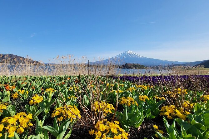 Mount Fuji Adventures Private English Tour With Hotel Pick Up - Chureito Pagoda and Arakura Sengen Shrine: classic Fuji photos, real walking