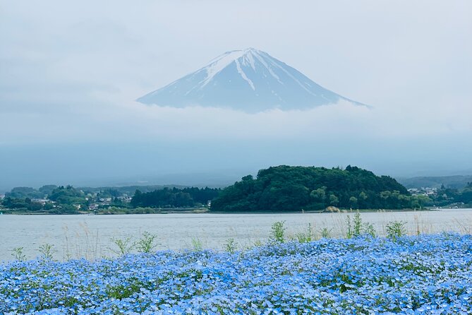 Mount Fuji Adventures Private English Tour With Hotel Pick Up - Private driver perks: pace, communication, and getting good photos fast