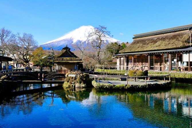 Mount Fuji Full Day Customized Private Tour with English Guide - Oishi Park: wide panoramas and a “wait for your moment” viewpoint