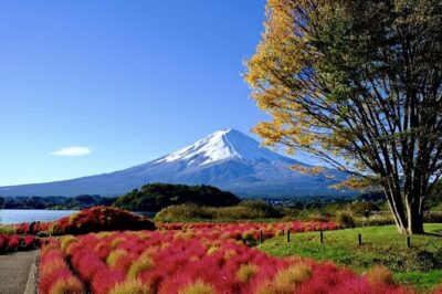Mount Fuji Full Day Customized Private Tour with English Guide - Fuji 5th Station: the altitude checkpoint (and the ticket you should budget)