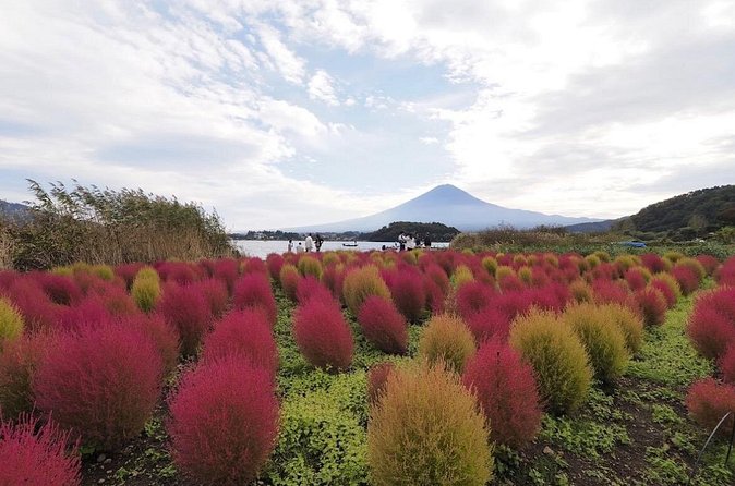 Mount Fuji Full Day Customized Private Tour with English Guide - Lake Kawaguchiko: the big Fuji lake with multiple angles