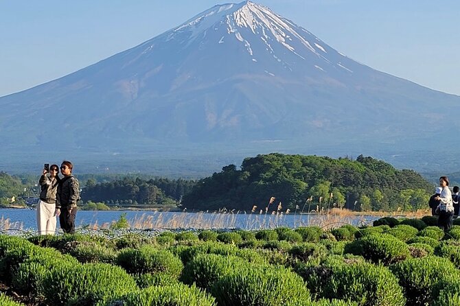 Mount Fuji Full Day Customized Private Tour with English Guide - Hakone Open-Air Museum: culture stop without the museum marathon