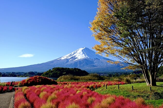 Mount Fuji Full Day Customized Private Tour with English Guide - Fuji 5th Station: the altitude checkpoint (and the ticket you should budget)