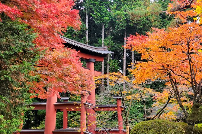 Mount Fuji Full-Day Private Tour from Tokyo (Customizable) - How customization works in plain terms (and how to use it)