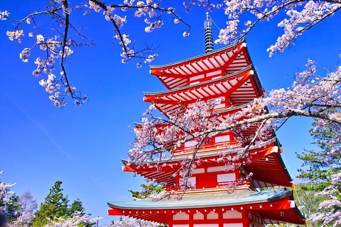 Mount Fuji Full Day Sightseeing Tour from Tokyo - Why this Mount Fuji day trip is worth the money