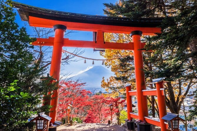 Mount Fuji Full Day Sightseeing Tour from Tokyo - Tokyo pickup, group size, and the 8:00 am pressure