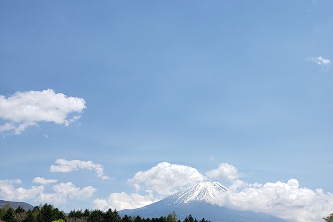 Mount Fuji, Hakone & Lakekawaguchiko Private Group Tour by Car. - Owakudani Valley If Time Permits: The Volcano Detour