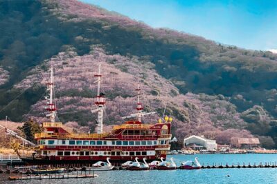 Mount Fuji, Hakone & Lakekawaguchiko Private Group Tour by Car. - Pickup and Timing: How You Get Better Views With Less Waiting