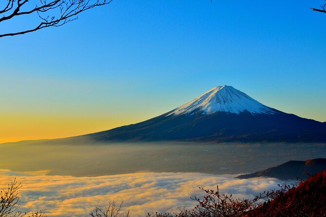 Mount Fuji (Mt. fuji) private tour by car with pickup from Tokyo - Stop 1: Chureito Pagoda and Arakura Sengen Shrine