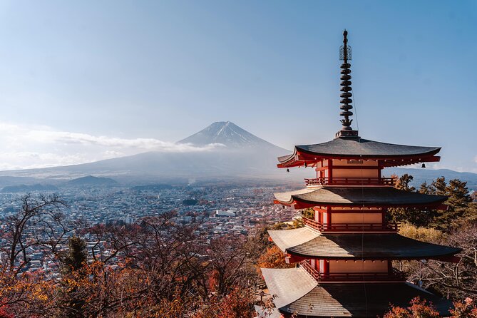 Mount Fuji (Mt. fuji) private tour by car with pickup from Tokyo - Stop 5 (optional): Oishi Park for the Fuji-and-lake photo
