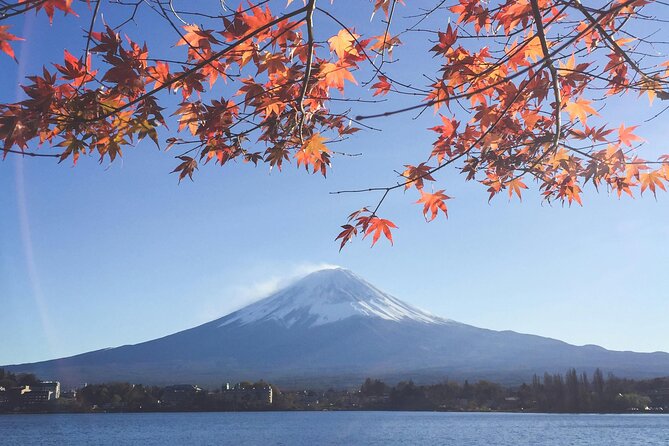 Mount Fuji (Mt. fuji) private tour by car with pickup from Tokyo - Tokyo pickup: the head start that often decides everything