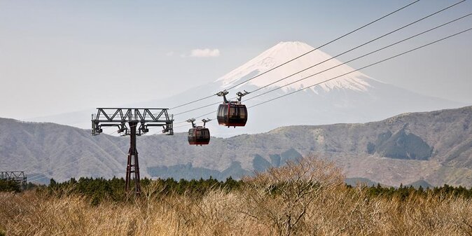 Mt Fuji and Hakone 1-Day Bus Tour Return by Bus - Key Highlights to Know Before You Go