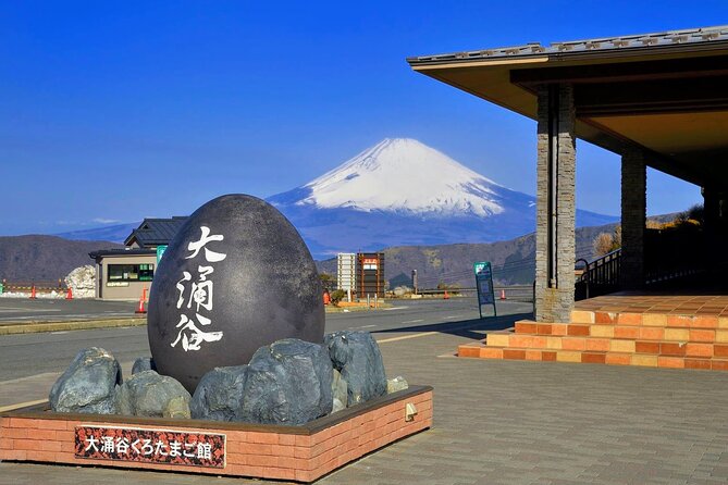 Mt Fuji and Hakone 1-Day Bus Tour Return by Bus - Hakone Ropeway: Getting Height Without Stress