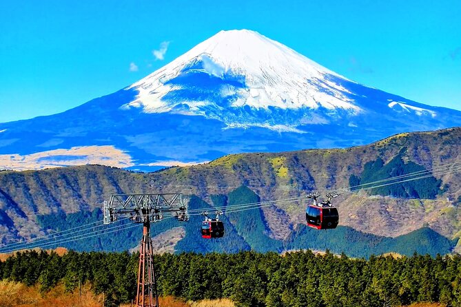 Mt Fuji and Hakone 1-Day Bus Tour Return by Bus - Lake Ashi Cruise: A Calmer Pace After Busy Stops