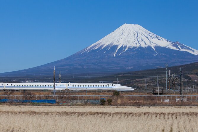 Mt. Fuji and Hakone Day Trip From Tokyo with Bullet Train Option - One-day value: how this tour saves you from Tokyo transit math